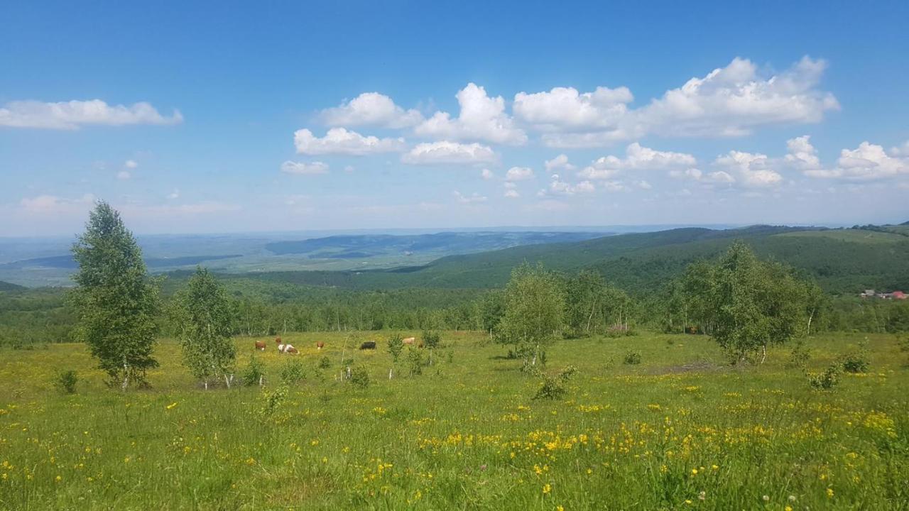 Pensiunea IULIA Rod Bagian luar foto