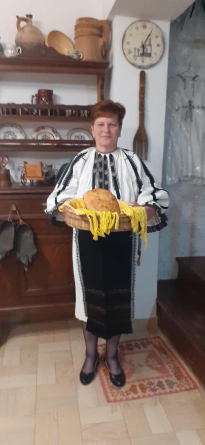 Pensiunea IULIA Rod Bagian luar foto