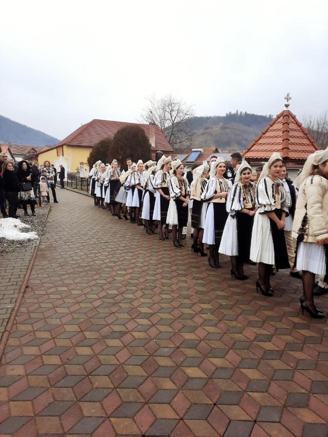 Pensiunea IULIA Rod Bagian luar foto
