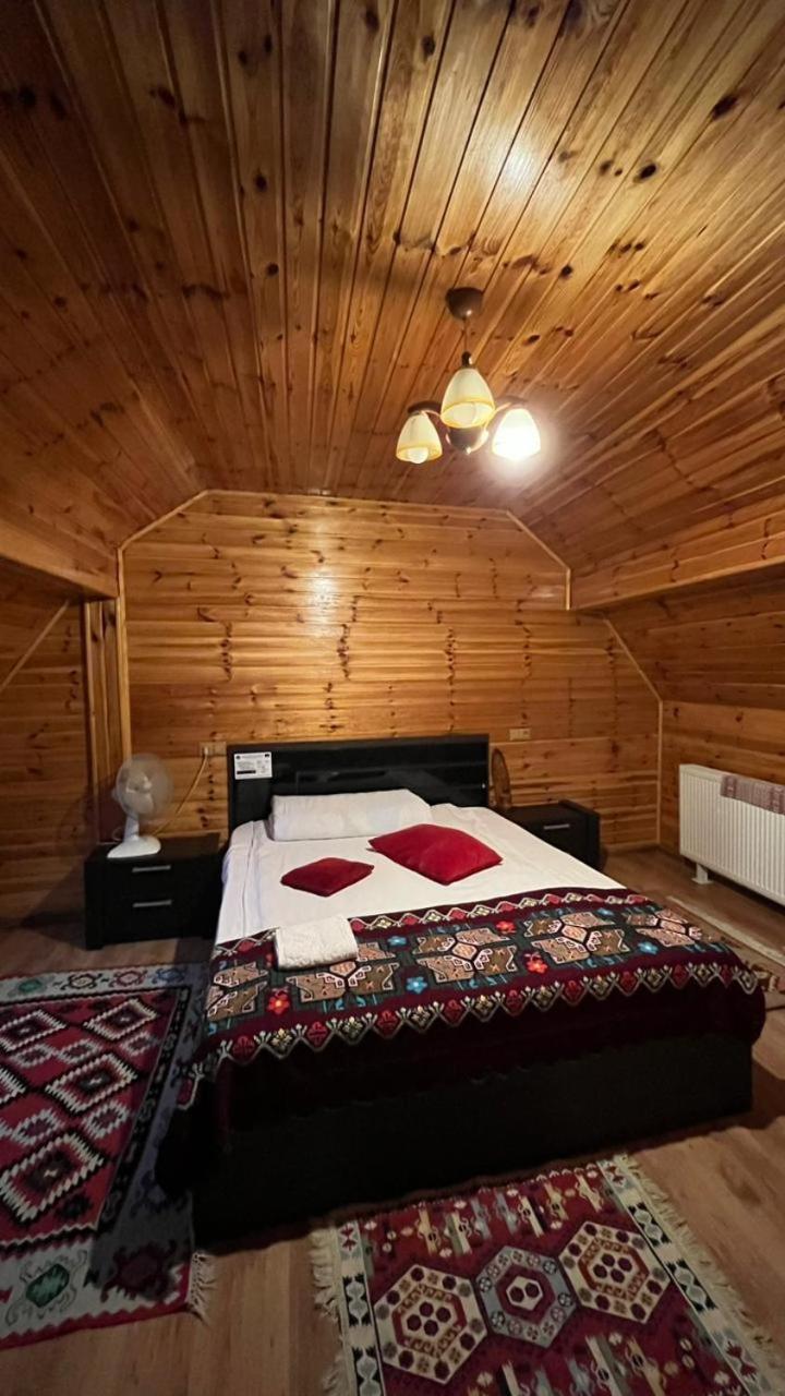Pensiunea IULIA Rod Bagian luar foto
